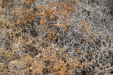Thumbnail img_5719.jpg 