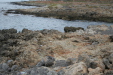 Thumbnail img_5720.jpg 