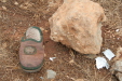 Thumbnail img_5726.jpg 