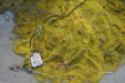 Thumbnail img_5746.jpg 