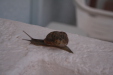 Thumbnail img_5758.jpg 