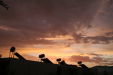 Thumbnail img_5759.jpg 