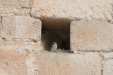 Thumbnail img_5773.jpg 