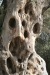 Thumbnail img_5777.jpg 