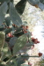 Thumbnail img_5799.jpg 