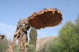 Thumbnail img_5811.jpg 