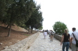 Thumbnail img_5821.jpg 