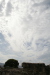 Thumbnail img_5851.jpg 