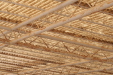 Thumbnail img_5869.jpg 