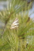 Thumbnail img_5873.jpg 