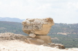 Thumbnail img_5880.jpg 