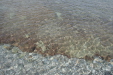 Thumbnail img_5886.jpg 