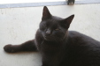 Thumbnail img_5888.jpg 