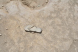 Thumbnail img_5897.jpg 