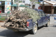Thumbnail img_5914.jpg 