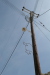 Thumbnail img_5921.jpg 