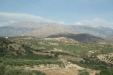 Thumbnail img_5930.jpg 