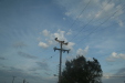 Thumbnail img_5956.jpg 