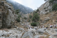 Thumbnail img_5988.jpg 