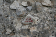 Thumbnail img_5989.jpg 