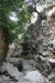 Thumbnail img_6004.jpg 