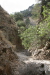 Thumbnail img_6008.jpg 