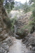 Thumbnail img_6009.jpg 