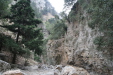 Thumbnail img_6010.jpg 
