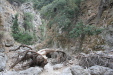 Thumbnail img_6011.jpg 