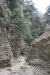 Thumbnail img_6014.jpg 