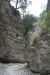 Thumbnail img_6018.jpg 
