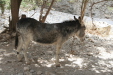 Thumbnail img_6021.jpg 