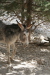 Thumbnail img_6022.jpg 