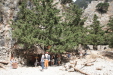 Thumbnail img_6023.jpg 