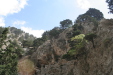 Thumbnail img_6025.jpg 