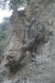 Thumbnail img_6028.jpg 