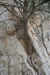 Thumbnail img_6030.jpg 