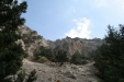 Thumbnail img_6031.jpg 