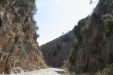 Thumbnail img_6058.jpg 