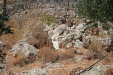 Thumbnail img_6086.jpg 