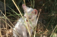 Thumbnail img_6087.jpg 