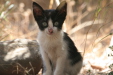 Thumbnail img_6089.jpg 