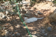 Thumbnail img_6094.jpg 