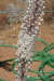 Thumbnail img_6095.jpg 