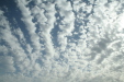 Thumbnail img_6114.jpg 