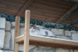 Thumbnail img_6116.jpg 