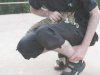 Thumbnail img_6145.jpg 