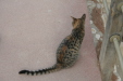 Thumbnail img_6146.jpg 
