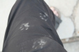 Thumbnail img_6147.jpg 