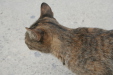Thumbnail img_6165.jpg 